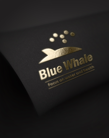 即熱式熱水器十大品牌排行榜