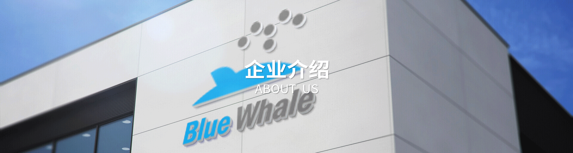 即熱式熱水器十大品牌排行榜